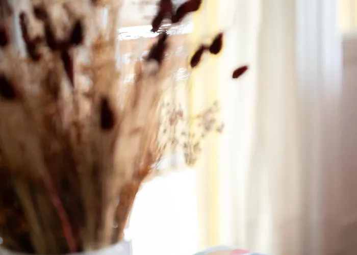 Zen Garden House Apartman